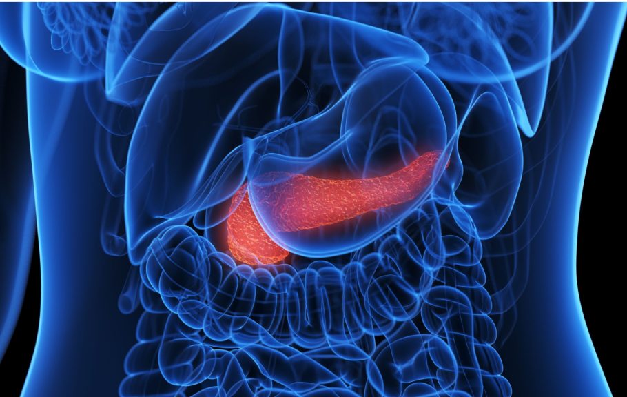 Pankreas najčešće pogađaju ovih 7 bolesti: Možemo li ga sačuvati?