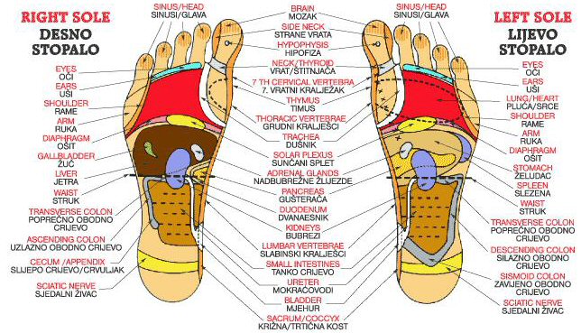 Masaža stopala - slika povezana s tajnom dugovječnosti.