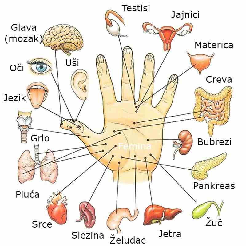 Važne tačke na dlanu uz pomoć kojih možete ukloniti bol