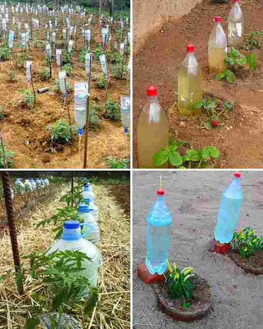 How to make the EASIEST DRIP IRRIGATION DIY in a FEW MINUTES: 10 cents is enough