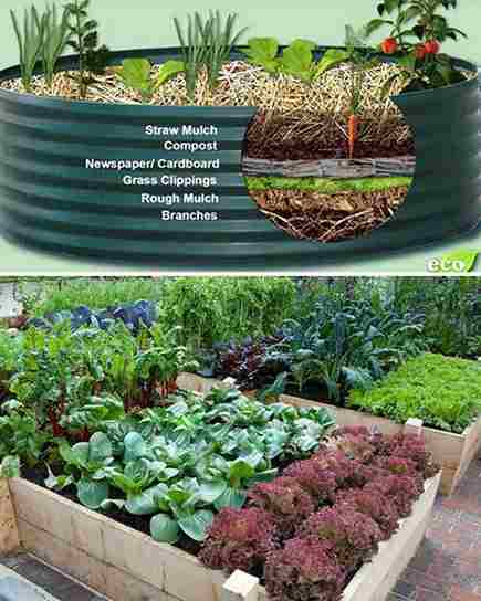 How to Build a Lasagna Garden Bed