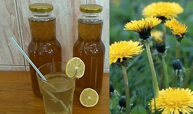 RECEPT ZA DOMAĆI SIRUP OD MASLAČKA: Ljekovita superhrana za koju ne morate izdvojiti ni eura…