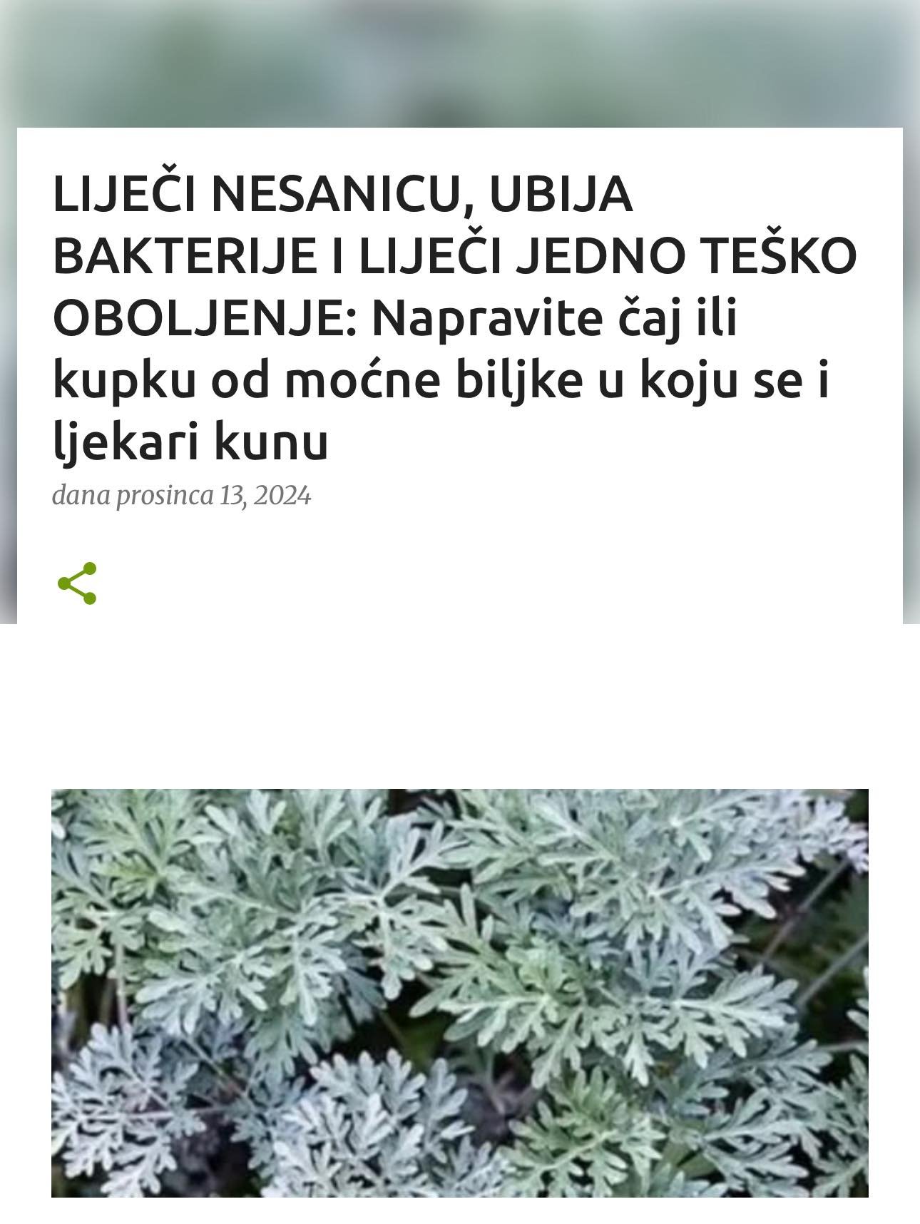 LIJEČI NESANICU, UBIJA BAKTERIJE I LIJEČI JEDNO TEŠKO OBOLJENJE: Napravite čaj ili kupku od moćne biljke u koju se i ljekari kunu