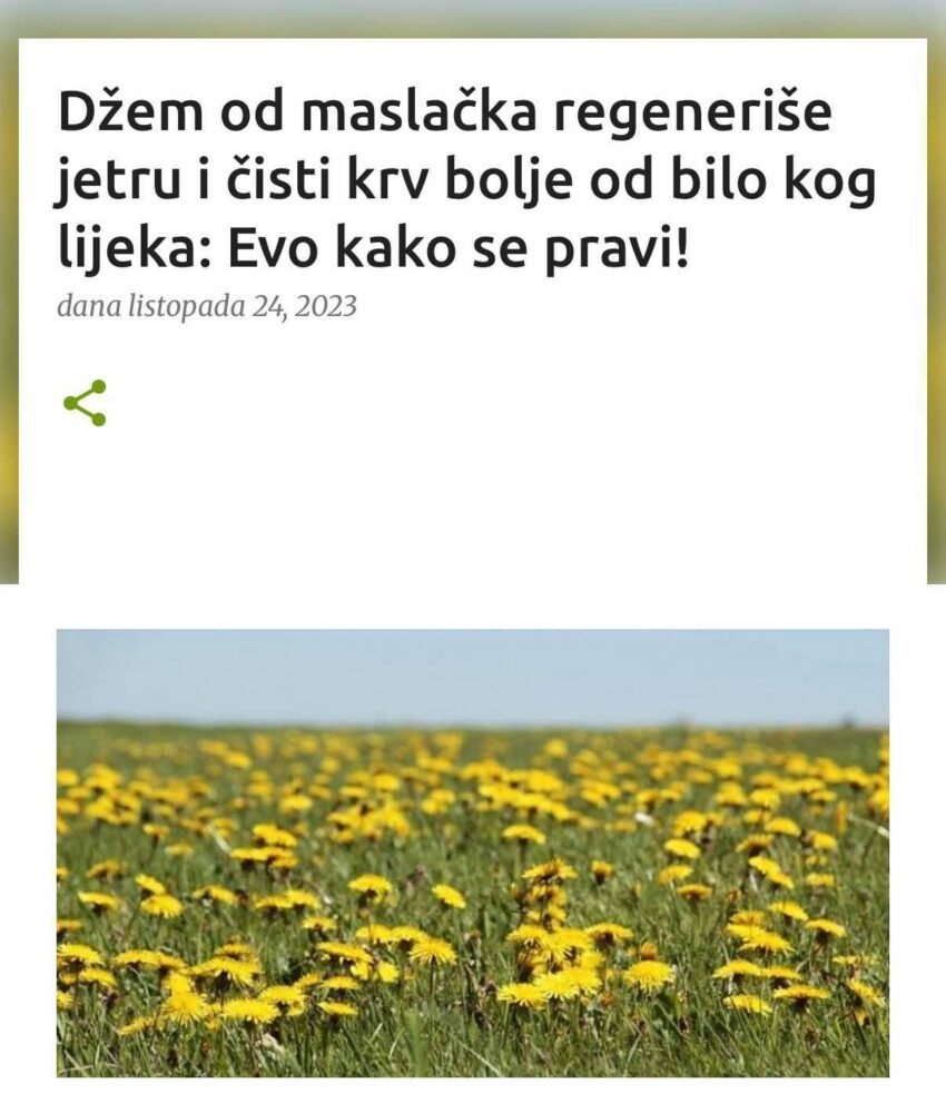 Džem od maslačka regeneriše jetru i čisti krv bolje od bilo kog lijeka: Evo kako se pravi!