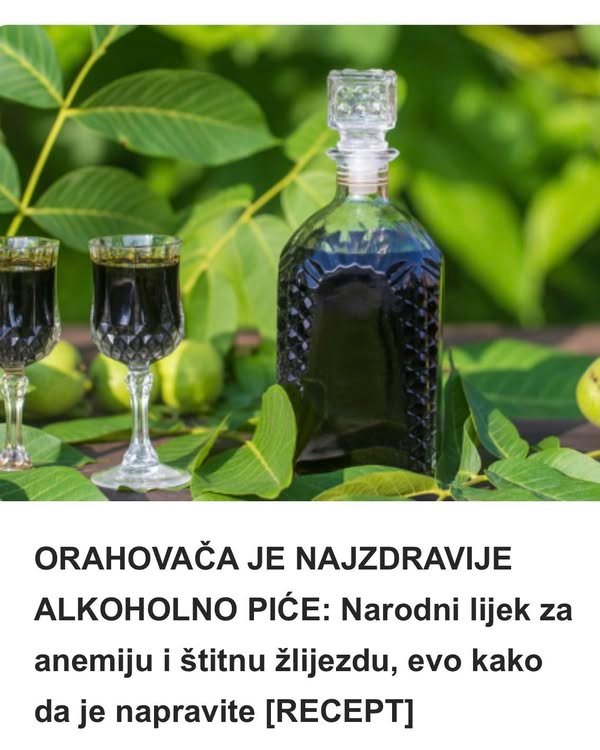 ORAHOVAČA JE NAJZDRAVIJE ALKOHOLNO PIĆE: Narodni lijek za anemiju i štitnu žlijezdu, evo kako da je napravite [RECEPT]