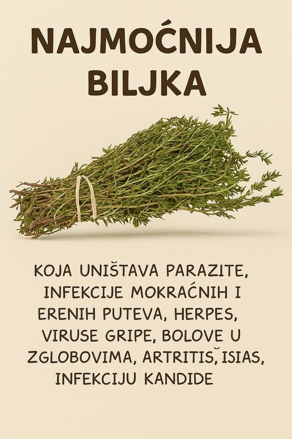Najmoćniji prirodni lijek za parazite, urinarne infekcije, herpes i gripu: ulje origana