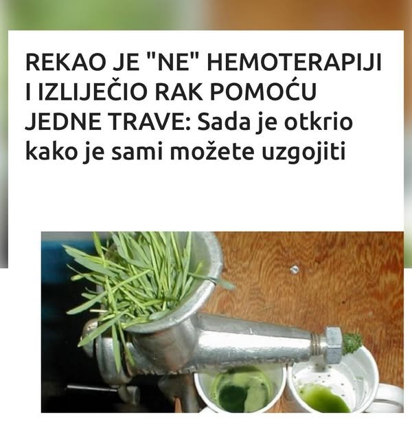 REKAO JE "NE" HEMOTERAPIJI I IZLIJEČIO RAK POMOĆU JEDNE TRAVE: Sada je otkrio kako je sami možete uzgojiti