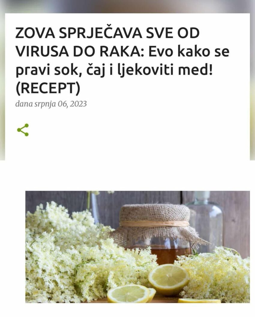 ZOVA SPRJEČAVA SVE OD VIRUSA DO RAKA: Evo kako se pravi sok, čaj i ljekoviti med! (RECEPT)