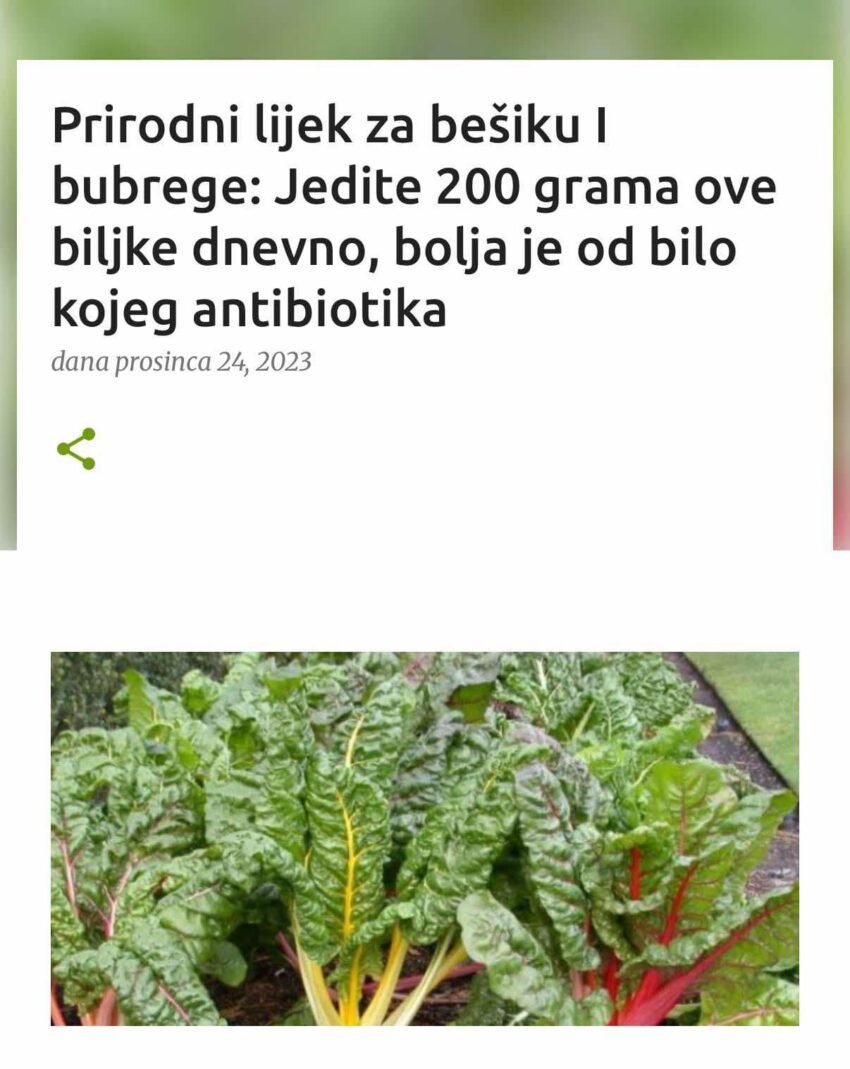 Prirodni lijek za bešiku I bubrege: Jedite 200 grama ove biljke dnevno, bolja je od bilo kojeg antibiotika