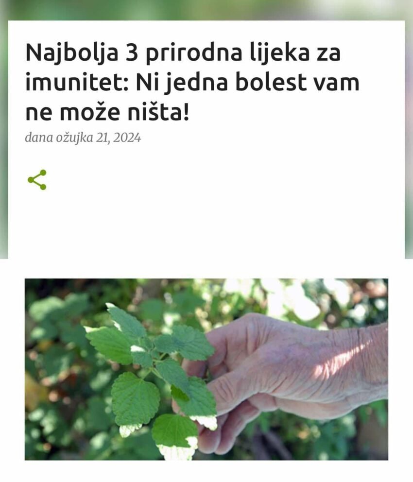 Najbolja 3 prirodna lijeka za imunitet: Ni jedna bolest vam ne može ništa!