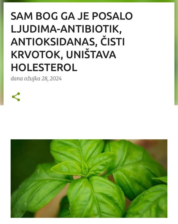 SAM BOG GA JE POSALO LJUDIMA-ANTIBIOTIK, ANTIOKSIDANAS, ČISTI KRVOTOK, UNIŠTAVA HOLESTEROL