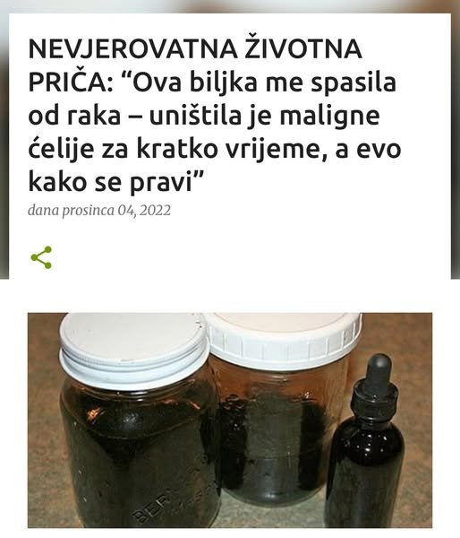 NEVJEROVATNA ŽIVOTNA PRIČA: “Ova biljka me spasila od raka – uništila je maligne ćelije za kratko vrijeme, a evo kako se pravi”