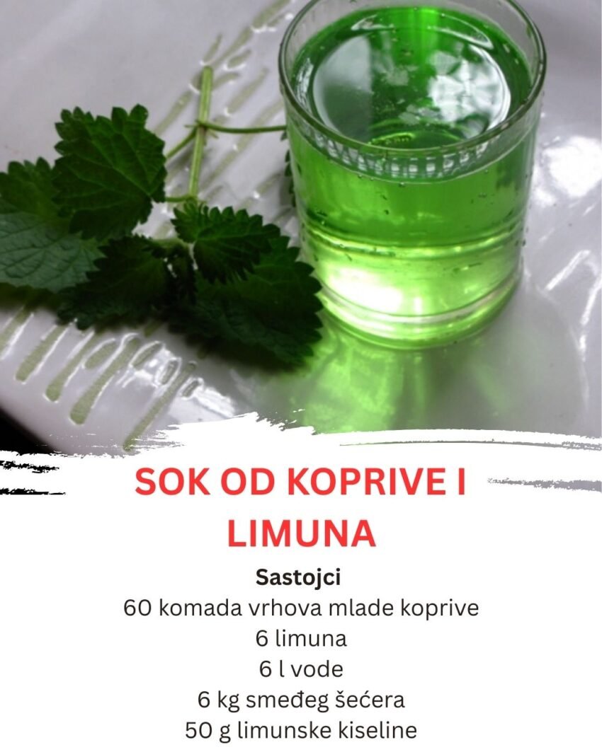 Sok od Koprive – Prirodni energetski napitak bez kuhanja