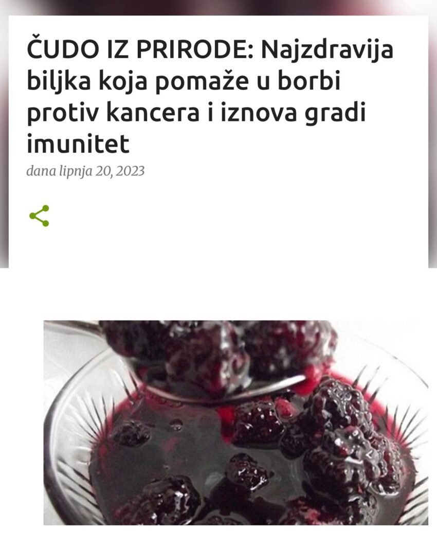 ČUDO IZ PRIRODE: Najzdravija biljka koja pomaže u borbi protiv kancera i iznova gradi imunitet