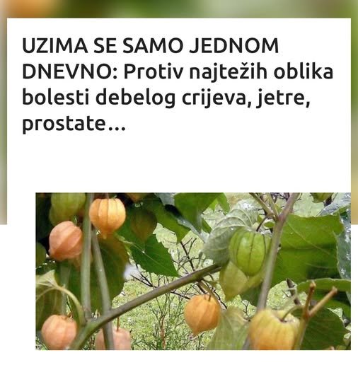 UZIMA SE SAMO JEDNOM DNEVNO: Protiv najtežih oblika bolesti debelog crijeva, jetre, prostate…