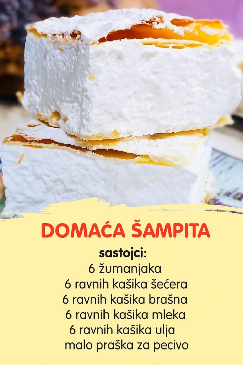 Domaća ŠAMPITA