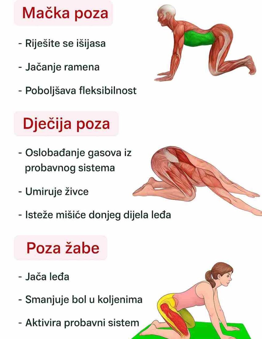 Joga nije samo vježbanje tijela, već i put ka unutrašnjem miru i boljem zdravlju. Svaka poza ima svoju posebnu svrhu i može donijeti olakšanje različitim dijelovima tijela, ali i umu. Redovno praktikovanje ovih poza doprinosi boljoj fleksibilnosti, cirkulaciji i mentalnoj ravnoteži. Bez obzira da li ste početnik ili već imate iskustva u jogi, ove jednostavne poze mogu postati moćni saveznici vašeg zdravlja: 1️⃣ Mačka poza (Cat Pose) → pomaže u ublažavanju bola kod išijasa i rasterećuje kičmu. 2️⃣ Dječija poza (Child’s Pose) → smiruje probavni sistem i smanjuje nadutost. 3️⃣ Žablja poza (Frog Pose) → jača leđa i ublažava nelagodu u koljenima. ✨ Uključivanje ovih poza u svakodnevnu rutinu ne zahtijeva mnogo vremena, a donosi velike koristi. Samo nekoliko minuta joge dnevno može poboljšati vaše fizičko zdravlje i donijeti unutrašnji osjećaj mira i lakoće. 🌿