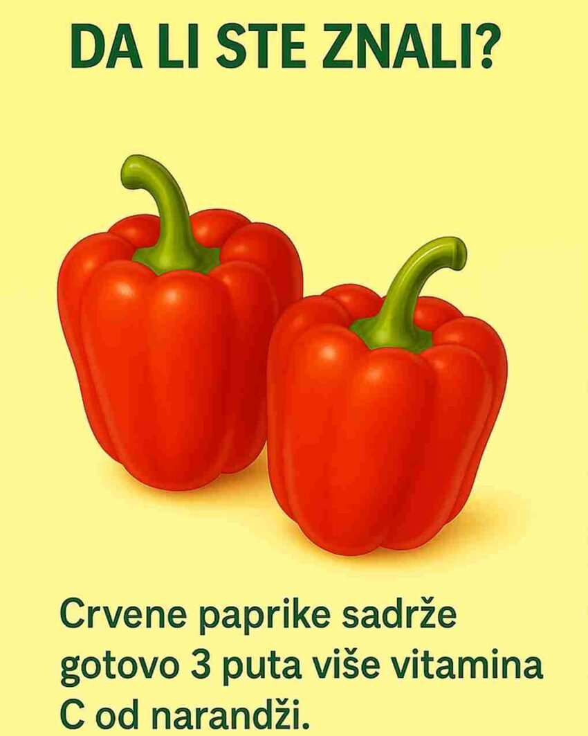 Pogledajte sve detalje u prvom komentaru 👇👇