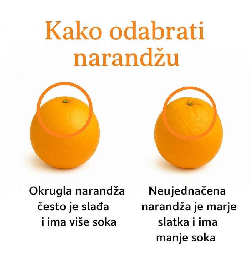 Kupovina narandži može izgledati jednostavno, ali pravi izbor čini veliku razliku u ukusu i sočnosti. Evo nekoliko savjeta koji će ti pomoći da uvijek izabereš najsvježije i najukusnije plodove! 🍊 🍊 Odaberi okrugle i pravilno oblikovane narandže Ujednačen oblik obično znači da je plod dobro sazrio i pun soka. Nepravilni oblici mogu ukazivati na neravnomjerno sazrijevanje ili slabiji ukus. ⚖️ Biraj one koje su teže Ako su dvije narandže iste veličine, izaberi onu koja je teža — to znači da sadrži više soka i biće svježija i slađa. 🌟 Provjeri koru Kora treba biti čvrsta, glatka i živih boja. Takva narandža je zrela i puna ukusa. Izbjegavaj one s naboranom ili blijedom korom, jer to može značiti da su stare ili suhe. 🚫 Izbjegavaj lagane i spužvaste plodove Ako narandža djeluje prelagano ili se pri pritisku osjeća spužvasto, vjerovatno nema dovoljno soka i neće biti ukusna. 🍋 Savjet: Prava narandža miriše svježe, ima čvrstu teksturu i teža je nego što izgleda — to je znak savršenog ploda! 🌿