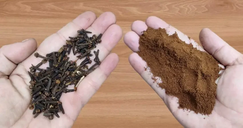 Karanfilić i kafa: Prirodno rješenje protiv štetočina Ako tražite učinkovit i prirodan način da se riješite štetočina u svom domu, dovoljno je da pomiješate karanfilić sa kafom. Ova snažna kombinacija je jednostavna za pripremu i efikasno odbija mrave, žohare i moljce – bez upotrebe hemikalija. Zašto ovo djeluje? Karanfilić sadrži eugenol, prirodni repelent koji tjera insekte. Kafa pojačava efekat tako što prikriva mirisne tragove kojima se štetočine kreću. Zajedno stvaraju mirisnu barijeru koju insekti izbjegavaju po svaku cijenu. Kako pripremiti smjesu Sastojci: Cijeli karanfilić Mljevena kafa (svježa ili iskorištena talog kafa) Upute: Pomiješajte jednake dijelove karanfilića i mljevene kafe. Stavite smjesu u male posudice ili je pospite direktno po kritičnim mjestima: pored prozora, ispod sudopera, oko vrata i u ormarima. Gdje i kako koristiti Protiv mrava – pospite smjesu oko mjesta gdje se mravi najčešće kreću. Protiv žohara – postavite smjesu ispod sudopera i u tamne uglove gdje se kriju. Protiv moljaca – stavite smjesu u ormare kako biste zaštitili odjeću. Zaključak Kombinacija karanfilića i kafe je jednostavan, ekološki i jeftin način da zaštitite svoj dom od štetočina. Nema potrebe za skupim hemijskim preparatima – samo isprobajte ovaj trik i uživajte u domu bez insekata. 🐜☕🌿