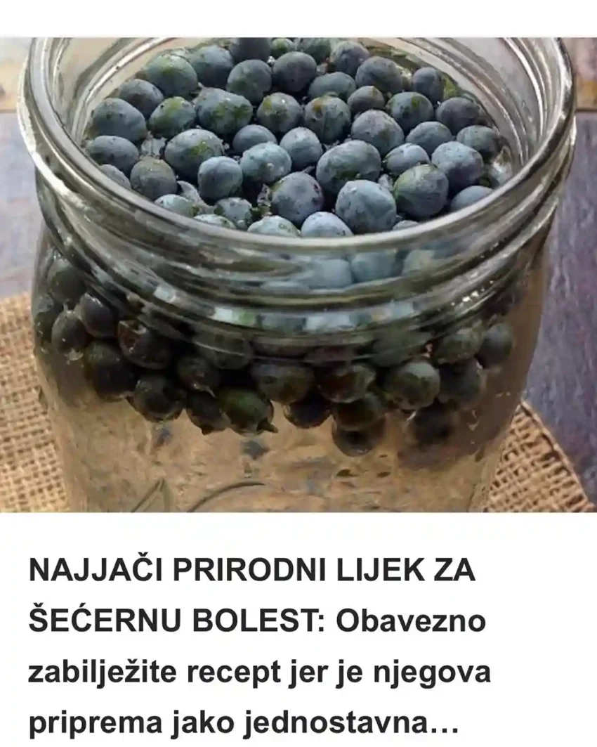 Pogledajte kako ga napraviti. Sastojci: – 0,5kg smreke (bobica strogo zrelih) – 3l vode – 1 limun Priprema: Smreku odnosno zrele bobice istresite u staklenu teglu od recimo 3-5l i zalite je vodom od 3l. Dodajte sok od jednog limuna (iscijedite jedan limun), te ostavite da stoji nekoliko dana (od 3 do 5 dana). Kada bobice smreke počnu padati na dno (a taj proces obavezno pratite), sačekajte da se sve bobice potope odnosno padnu na dno pa onda procijedite i sok je spreman za piće. Primjena: Pijte svako jutro po jednu čašu ovog napitka. Napitak uvijek možete koristiti bez ograničenog vremenskog roka, samo ne pretjerujte sa količinom od predviđene. Nakon izvjesnog vremena primijetit ćete da uveliko pomaže kod regulisanja šećera u krvi. Ako vam se okus baš ne sviđa, možete ga malo zasladiti po želji. Ali, ovaj recept najbolje rezultate daje ako pripremljeni sok pijete bez ikakvih zaslađivača. Budite zdravi!! Izvor: lepaisrecna
