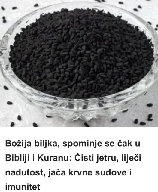 U Islamu, crni kim ima posebno mjesto. Poznato je da je poslanik Muhamed rekao: „Crni kim liječi sve osim smrti“, čime je ukazao na njegovu izuzetnu vrijednost. U Bibliji se spominje pod nazivima „crno sjeme“ ili „komorač“, a koristio se u starom Egiptu i Mezopotamiji. U grobnici faraona Tutankamona pronađene su bočice s uljem crnog kima, što dovoljno govori o njegovom značaju u tadašnjoj medicini. Ljekovita svojstva crnog kima Crni kim je izuzetno bogat antioksidansima, eteričnim uljima, vitaminima (posebno B-kompleksa) i mineralima poput kalcija, željeza, kalija, selena i cinka. Njegova najpoznatija aktivna supstanca je timoquinon, koji ima snažno protuupalno, antibakterijsko i antikancerogeno djelovanje. Ova biljka pruža višestruku korist za zdravlje: Čisti i obnavlja jetru Jetra je ključni organ za detoksikaciju tijela. Crni kim pomaže u njenoj regeneraciji, štiti od oštećenja uzrokovanih toksinima, alkoholom i lijekovima, te poboljšava njenu funkciju. Poboljšava probavu i smanjuje nadutost Ulje crnog kima pomaže kod gastritisa, nadutosti, zatvora i grčeva, a pokazalo se djelotvornim i kod sindroma iritabilnog crijeva. Podstiče lučenje želučanih sokova i enzima, što poboljšava apsorpciju hranjivih tvari. Jača imunitet Redovna upotreba crnog kima jača prirodnu otpornost organizma na viruse i bakterije. Preporučuje se osobama koje se često razbolijevaju ili imaju hronične infekcije. Posebno se ističe njegova učinkovitost kod sezonskih alergija i astme. Pomaže kod kardiovaskularnih bolesti Crni kim doprinosi jačanju krvnih žila, snižava krvni tlak i regulira razinu lošeg holesterola. Time se smanjuje rizik od srčanih bolesti, moždanog udara i ateroskleroze. Ublažava simptome alergija i astme Zahvaljujući protuupalnim svojstvima, crni kim olakšava disanje kod astmatičara, smanjuje učestalost napada i poboljšava opće stanje organizma. Njegovo ulje djeluje kao prirodni antihistaminik. Pomaže ženama u hormonalnom balansu Ulje crnog kima koristi se za regulaciju menstrualnih ciklusa, ublažavanje simptoma menopauze, a preporučuje se i dojiljama jer podstiče lučenje mlijeka. Također pomaže kod sindroma policističnih jajnika (PCOS). Djeluje protiv gljivica, bakterija i virusa Crni kim se koristi kod različitih kožnih oboljenja, uključujući gljivične infekcije, akne i ekceme. Njegovo ulje ubrzava regeneraciju kože i djeluje antiseptički. Podržava zdravu kožu i kosu Ulje crnog kima hidratizira kožu, smanjuje upale i ublažava iritacije. Kod kose sprječava opadanje, jača korijen dlake i potiče rast. Kako se koristi crni kim? Crni kim se može konzumirati u obliku sjemenki, praha ili ulja. Najčešće se koristi hladno cijeđeno ulje, koje se uzima po jedna kašičica dnevno, najbolje ujutro na prazan želudac. Za vanjsku upotrebu, ulje se nanosi direktno na kožu ili kosu, u zavisnosti od problema. Važno je koristiti kvalitetan i nerafiniran proizvod, jer samo tada zadržava svoja ljekovita svojstva. Djeci se daje u manjim količinama, a trudnice se prije upotrebe trebaju posavjetovati s liječnikom. Moderna istraživanja potvrđuju staru mudrost Brojna naučna istraživanja u posljednjim desetljećima potvrdila su ono što je tradicionalna medicina znala stoljećima: crni kim zaista ima antitumorska, antimikrobna, protuupalna, antidiabetička i imunomodulatorna svojstva. Studije su pokazale njegovu učinkovitost u borbi protiv karcinoma, dijabetesa tipa 2, reumatoidnog artritisa i brojnih drugih hroničnih bolesti. U svijetu prepunom hemijskih lijekova i brzih rješenja, povratak prirodi pokazuje se kao sve važniji korak ka zdravijem životu. Crni kim je jedan od najsvestranijih darova prirode, koji bez preuveličavanja može pomoći kod velikog broja zdravstvenih problema. Nije čudo što su ga drevne civilizacije slavile i štitile, a vjera u njegovu moć traje i danas. Ako tražite prirodnog saveznika za imunitet, jetru, probavu ili samo želite ojačati tijelo i duh – crni kim može biti upravo ono što vam treba. odmorimozak