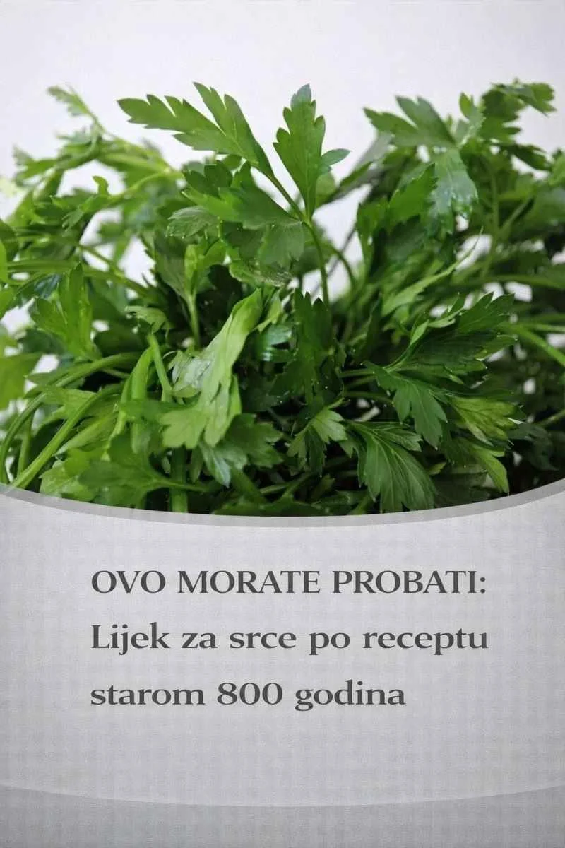 Sastojci za recept: – 10 svježih stabljika peršuna (bez korijena), – litra domaćeg crnog ili bijelog vina, – dvije žlice vinskog octa – 300 g prirodnog meda. Priprema: Deset svježih stabljika peršuna zajedno s listovima stavite u litru čistog prirodnog vina i dodajte 1-2 velike žlice vinskog octa. Kuhajte 10 minuta na laganoj vatri. Poslije dodajte 300 grama meda i ostavite da se lagano kuha još 4 minuta. Vruće vino procijedite i još toplo stavite u boce, koje su prethodno isprane jakim alkoholom. Dobro zatvorite. Talog koji se stvara nije štetan i slobodno se može piti. Upotreba: Napitak se koristi svakodnevno, jušna žlica do prestanka tegoba. Za teže bolesti potrebno je koristiti duži vremenski period. AKO VAM SE OVA OBJAVA SVIDJELA, LAJKUJTE JE I PODIJELITE NA SVOJ PROFIL. UKOLIKO IMATE NEKU PRIMJEDBU ILI VAM JE OVA OBJAVA KORISNA, OSTAVITE SVOJ KOMENTAR. HVALA!
