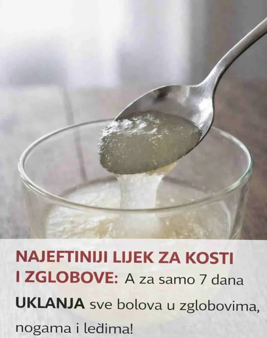 Provjerila sam na sebi, svojim prijateljima i uvjerila sam se da je ovaj recept zaista – čudo! Ovaj recept ću podijeliti sa vama, koji imate problema sa bolovima u zglobovima, leđima, nogama, vratu, piše portal uspesnazena.com! (Dakle, recept koji vam prenosimo već je isproban i jako je efikasan!) Recept glasi ovako: Kupiti u kojoj prodavnici 150 gr bilo kojeg jestivog želatina, sa voćnim ukusom ili bez, svejedno (150gr – za tretman tretmana od mjesec dana). Uveče sipajte 5 gr želatine (dvije ravne kašikice) u četvrt čaše sa hladnom (iz frižidera) vodom. Pomiješajte i ostavite da stoji do jutra (van frižidera). Želatin će se nabubriti i pretvoriće se preko noći u žele. Ujutru popijte smjesu na prazan stomak. Možete dodati sok, vodu sa medom ili pomiješati smjesu sa jogurtom ili kiselim mlijekom. Ili na bilo koji drugi način koji vama odgovara. Funkcioniše tako, da ljudi koji su se žalili na bolove u zglobovima, leđima, nogama, bolove u kičmi, vratu itd., poslije sedmicu dana prestaju da ih primjećuju! Kurs liječenja je mjesec dana. Ponoviti za 6 mjeseci. Ovo je način da se obnovi „podmazivanje“ zglobova. A od zdravih zglobova zavisi i normalan rad mnogih organa, jer je sve u našem organizmu povezano. Jedino „NE“ – mnogi ne vjeruju. Skupi lijekovi protiv bolova puni hemije za nekoga su jedino rješenje, a tako „primitivno“, nezavisno liječenje ne ulijeva povjerenje. Zašto je želatin toliko koristan za zglobove: Želatin – proizvod životinjskog porijekla, dobijen u rezultatu prerade vezivnog tkiva krupne rogate stoke – tetiva, kostiju, hrskavica, stvara kolagen u najčistijem obliku. Pozitivno djeluje na stanju unutrašnjih vlakana i sitnih sudova. U sebi posjeduje dva aminokiselina: prolin i hidrosiprolin, koji imaju pozitivan utjecaj na oporavak vezivnog tkiva. Želatin je u stanju da poveća rast i obim vezivnog tkiva, što je veoma važno kod bolesnih zglobova. Želatin je koristan proizvod izuzetnog kvaliteta za poboljšanje zdravlja: – jača zglobove i srčani mišić – poboljšava metabolizam – povećava mentalnu sposobnost – održava zdravo stanje kože – daje elastičnost i snagu tetivama i ligamentima – spriječava razvoj osteoporoze i osteoartritisa – dovodi do poboljšanja rasta i strukture kose i noktiju – nezamjenjiv kod displazije Iz ličnog iskustva mogu vam reći da su zaista za samo 7 dana prestali bolovi u kičmi i ukočenost u vratu, koje sam osjećala već mnogo mjeseci, jer je moj posao vezan za duže sjedište za računarom. Poslije kursa liječenja od mjeseca dana osjećala sam se mnogo bolje, bolovi u leđima su nestali!