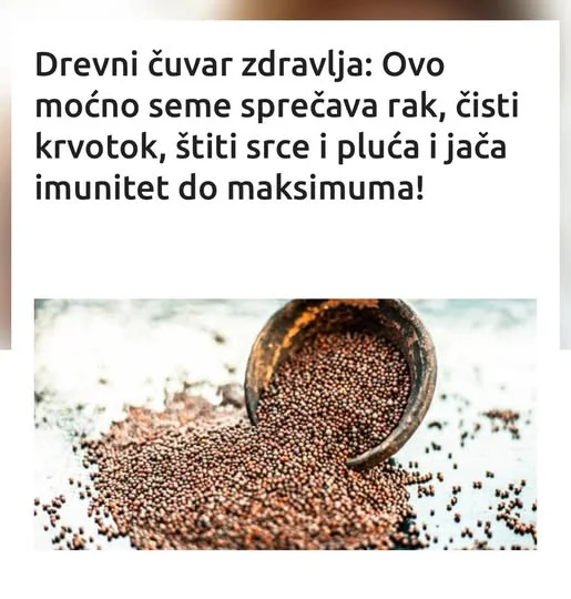 Seme ove lekovite biljke može pomoći onesvešćenim osobama da se povrate. Dovoljno je samo kašičicu mlevene slačice staviti osobi ispod nosa. Mleveno seme biljke ima jak i ljut miris koji će pomoći povratku svesti. Herbeauty now Leg Shape Test: Discover What It Says About You 144 × Ulje koje se pravi sa belom slačicom je po izgledu slično suncokretovom, jer je žućkaste boje. To je etersko ulje, koje se mora izuzetno pažljivo koristiti. Njegova ljutina može iritirati sluzokožu i prozurokovati plikove i opekotine. Upravo je to i razlog što se ono mora držati pod ključem u apotekama i što se izdaje samo uz recept. (Tekst se nastavlja ispod) Ova izuzetno jaka tečnost može lako usmrtiti životinje, zato napominjemo: sa njom treba vrlo oprezno rukovati. Određena istraživanja dokazuju kako se ulje slačice može čak i koristiti kao prevencija kod raka i tumora. Tome je zaslužna baš supstanca izotiocianat.